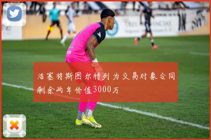 活塞将斯图尔特列为交易对象合同剩余两年价值3000万